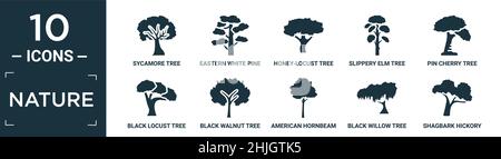filled nature icon set. contain flat sycamore tree, eastern white pine tree, honey-locust tree, slippery elm pin cherry black locust black walnut amer Stock Vector