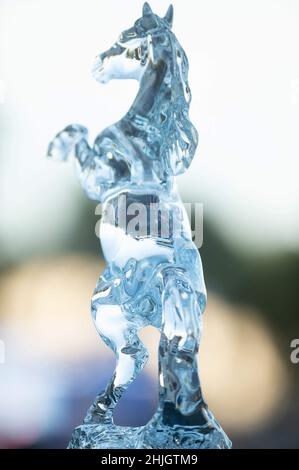 Hallandale Beach, FL, USA. 29th Jan, 2022. January 29, 2022: The Pegasus World Cup Trophy at Gulfstream Park in Hallandale Beach, Florida on January 29th, 2022. Carson Dennis/Eclipse Sportswire/CSM/Alamy Live News Stock Photo