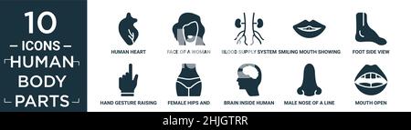 filled human body parts icon set. contain flat human heart, face of a woman, blood supply system, smiling mouth showing teeth, foot side view, hand ge Stock Vector