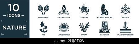 filled nature icon set. contain flat peppermint, bougainvillea, oleander, natural medical pills, daffodil, iris, lotus flower, rowan, waterfall, plant Stock Vector