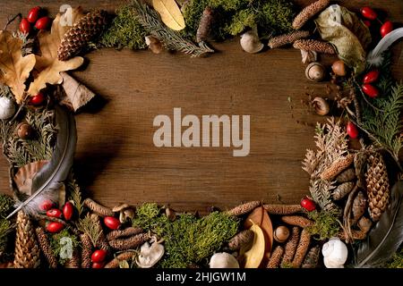 Fairy tale ambiance magic autumnal forest background. Autumn leaves, moss, fir cones, snail shell, feather over wooden surface. Creative alyout. Frame Stock Photo