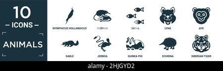 filled animals icon set. contain flat nymphicus hollandicus, desman, shoal, lynx, ape, sable, jerboa, guinea pig, echidna, siberian tiger icons in edi Stock Vector