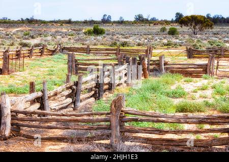 SHeep yard of Lake Mungo woolshed in dry arid plains of Australian outback. Stock Photo