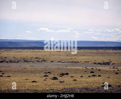 PANORAMICA DE LA CORDILLERA ANDINA EN LA FRONTERA CON CHILE. Location: EXTERIOR. Nación. Stock Photo