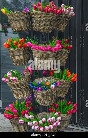Fantastic colorful bouquets of wooden tulips in the basket on the stand. Dutch souvenir shop with decorative objects near Amsterdam, Netherlands, Euro Stock Photo
