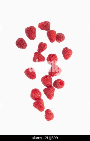 Falling fresh raspberries on a light background Stock Photo