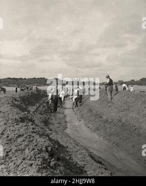 Digging or enlarging a drainage channel in the sand on a beach in Victorian Britain c. 1900. Sand is piled up on either side of the channel. A large team is digging by hand using spades and shovels. Horses and carts (left) are removing some of the spoil. The water seems to be flowing freely down the improved route. This is taken from an old black and white negative. It will look soft if used at too large a size – a vintage early sepia photograph. Stock Photo
