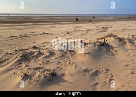 Crosby beach on the river Mersey at sunset ona winters afternoon with blown sand looking like a desert. Site of Another Place iron men statues, Stock Photo