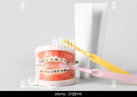 Model of jaw with braces, toothpicks, brushes and paste on white background Stock Photo