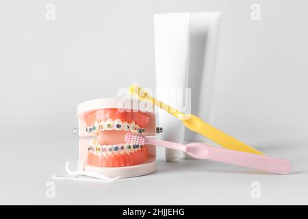 Model of jaw with braces, toothpicks, brushes and paste on white background Stock Photo
