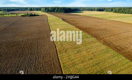 Scenic view of working tractor in the field agricultural field on a summer farm in the evening. Aerial photography, top view drone shot. Agricultural Stock Photo