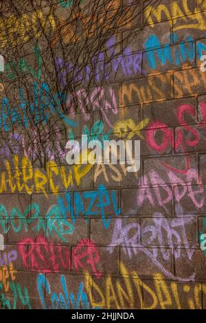 Graffitti on a abandoned wall in Cardiff, Wales, UK Stock Photo