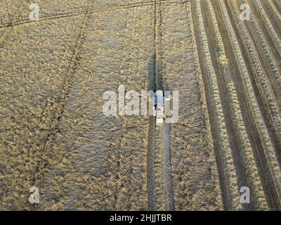 Woodbridge Suffolk UK 21 July 2021: Aerial shot of combine harvesting grains in the middle of the summer harvest season. Farming concept, harvesting c Stock Photo