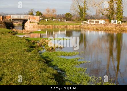 River Bure, Oxnead Bridge, Oxnead, Norfolk England UK Stock Photo