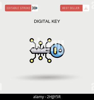 Digital key Simple vector icon. Stock Vector