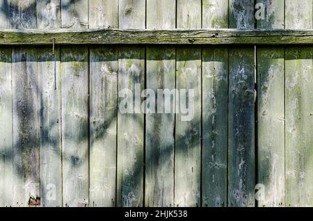 Old weathered rustic wooden texture background, a wall with tree shadows and natural pattern Stock Photo