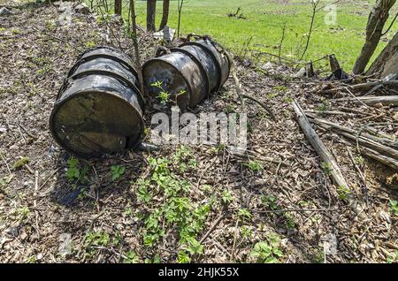 Two rusty metal barrels on the edge of a meadow in a sunny day Stock Photo