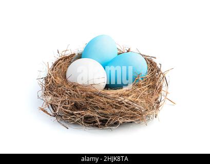 Three blue and white Easter eggs in a nest isolated on a white background. Easter eggs. Side view, close-up. Stock Photo