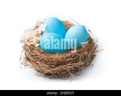 Easter nest with blue eggs and flower isolated on a white background. Easter eggs. Side view, close-up. Stock Photo