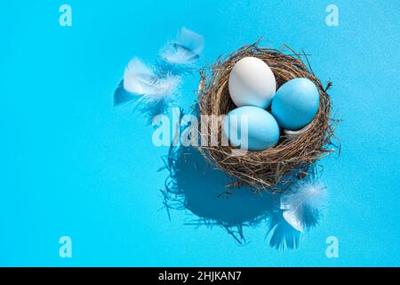 Three eggs in a nest with a hard shadow on a blue background with feathers. Easter background. Stock Photo