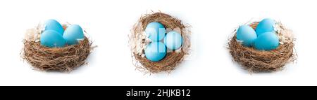 A set of nests with blue Easter eggs in different angles isolated on a white background. The concept of Easter. Stock Photo