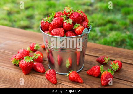 Full bucket of freshly picked strawberries in the summer garden. Close-up  of strawberries in a plastic basket. Organic and fresh berry at a farmers  market, in a bucket on a strawberry patch. 11174044 Stock Photo at Vecteezy