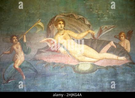 Shell mural, House of Venus in the Shell, Ancient City of Pompeii, Pompei, Metropolitan City of Naples, Campania Region, Italy Stock Photo