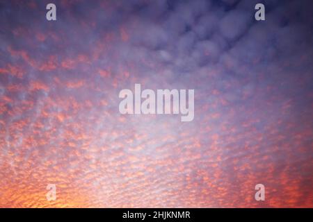 A Beautiful Pink and Blue Sunset with White Mammatus Bubble Clouds Stock Photo