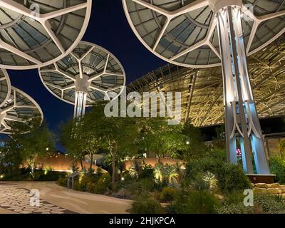 Solar Panel Trees At Terra - The Sustainability Pavilion At The Dubai ...