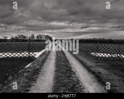 Track or Path Leading Through Cold and Empty Winter Fields in the Mostviertel Region of Lower Austria Stock Photo