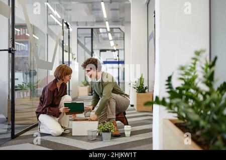 Full length portrait of friendly colleague helping young employee in office hall, copy space Stock Photo