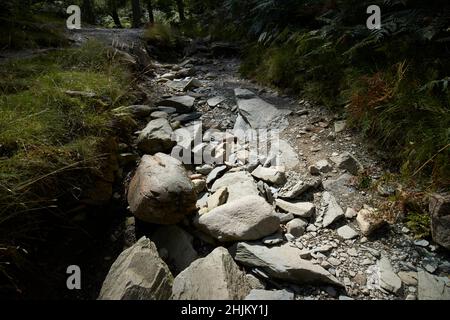 dried up riverbed in dry summer season near rydal lake district, cumbria, england, uk Stock Photo