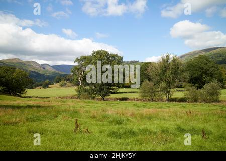 under loughrigg river rothay valley near ambleside lake district, cumbria, england, uk Stock Photo