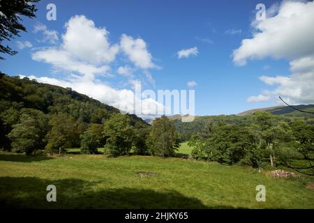 under loughrigg river rothay valley near ambleside lake district, cumbria, england, uk Stock Photo