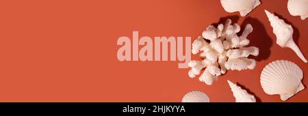 Banner with White Sea Coral and Seashell on a brick color background with Empty Space for text. Stock Photo