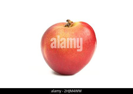 Single nectarine isolated on white background. Delicious fruit Stock Photo