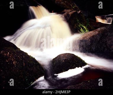 Superb Becky Falls, Water rushing through ancient woodland, natural intimate landscape Stock Photo