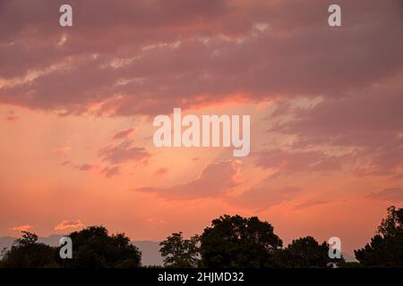 pastel sunset with clouds and dark trees in the foreground Stock Photo