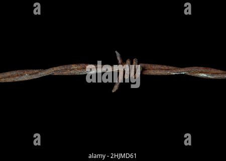 Close up of rusty barbed wire isolated on black Stock Photo