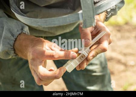 beekeeper puts in queen bee cell beekeeping Roayl Jelly Cups, Queen bee set to grow nucleus hives Stock Photo