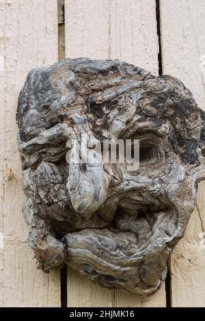 Grey and weathered natural wood sculpture of a face on white barn wall in backyard country garden. Stock Photo