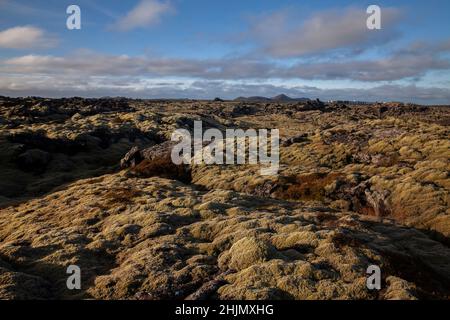 Rugged Lava fields in Iceland Stock Photo