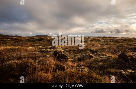 Rugged Lava fields in Iceland Stock Photo