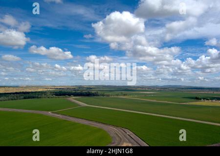 Aerial of irrigated cotton fields growing from water supplied by the Dawson River near Theodore Queensland Australia Stock Photo