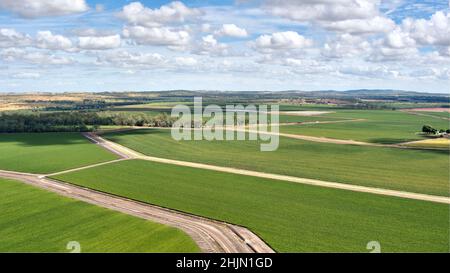 Aerial of irrigated cotton fields growing from water supplied by the Dawson River near Theodore Queensland Australia Stock Photo