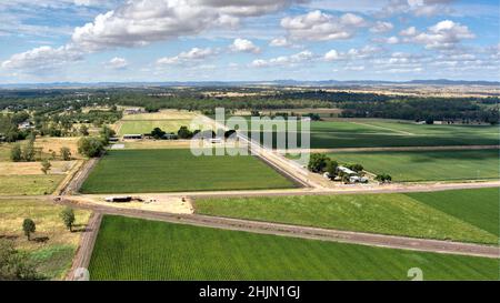 Aerial of irrigated cotton fields growing from water supplied by the Dawson River near Theodore Queensland Australia Stock Photo