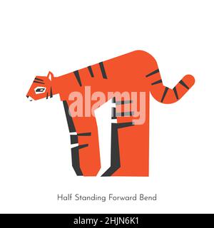 Vector flat isolated illustration with flexible animal character. Asian tiger learns relaxing posture and does Half standing forward bend pose at yoga Stock Vector