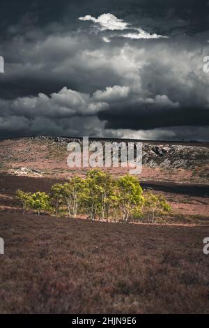 Sunny spot of golden light after a heavy storm in the Peak District Stock Photo
