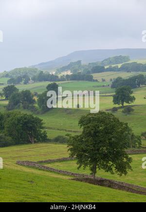 Upper Wensleydale and River Ure near Hawes, North Yorkshire, Yorkshire ...