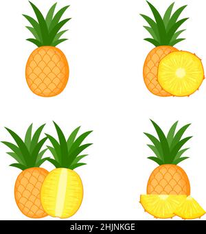 Pineapple, whole fruit, half, slice, vector illustration Stock Vector